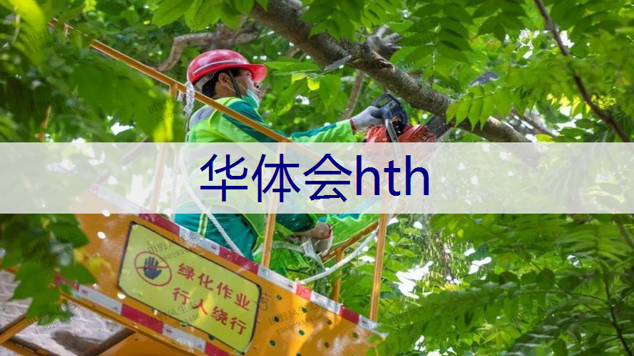 市政绿化工程厂家