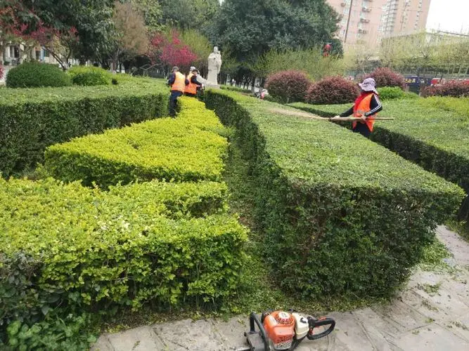 宿迁绿化工程用苗种植补贴
