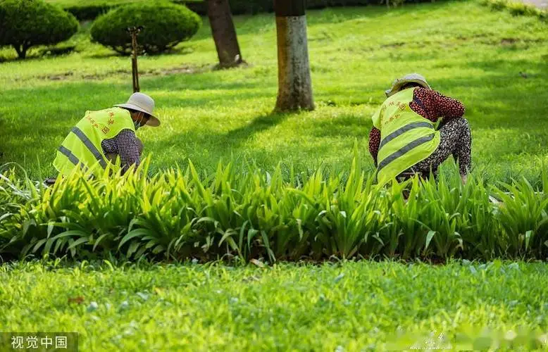 花园园林景观设计绿化设计